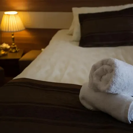 Trend モーテル 4*