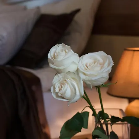 Motel Trend